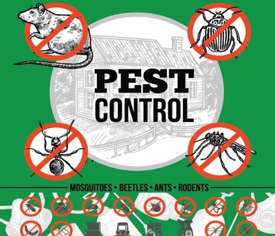 10PROFESSIONAL ALL TYPES PEST CONTROL in Riyadh