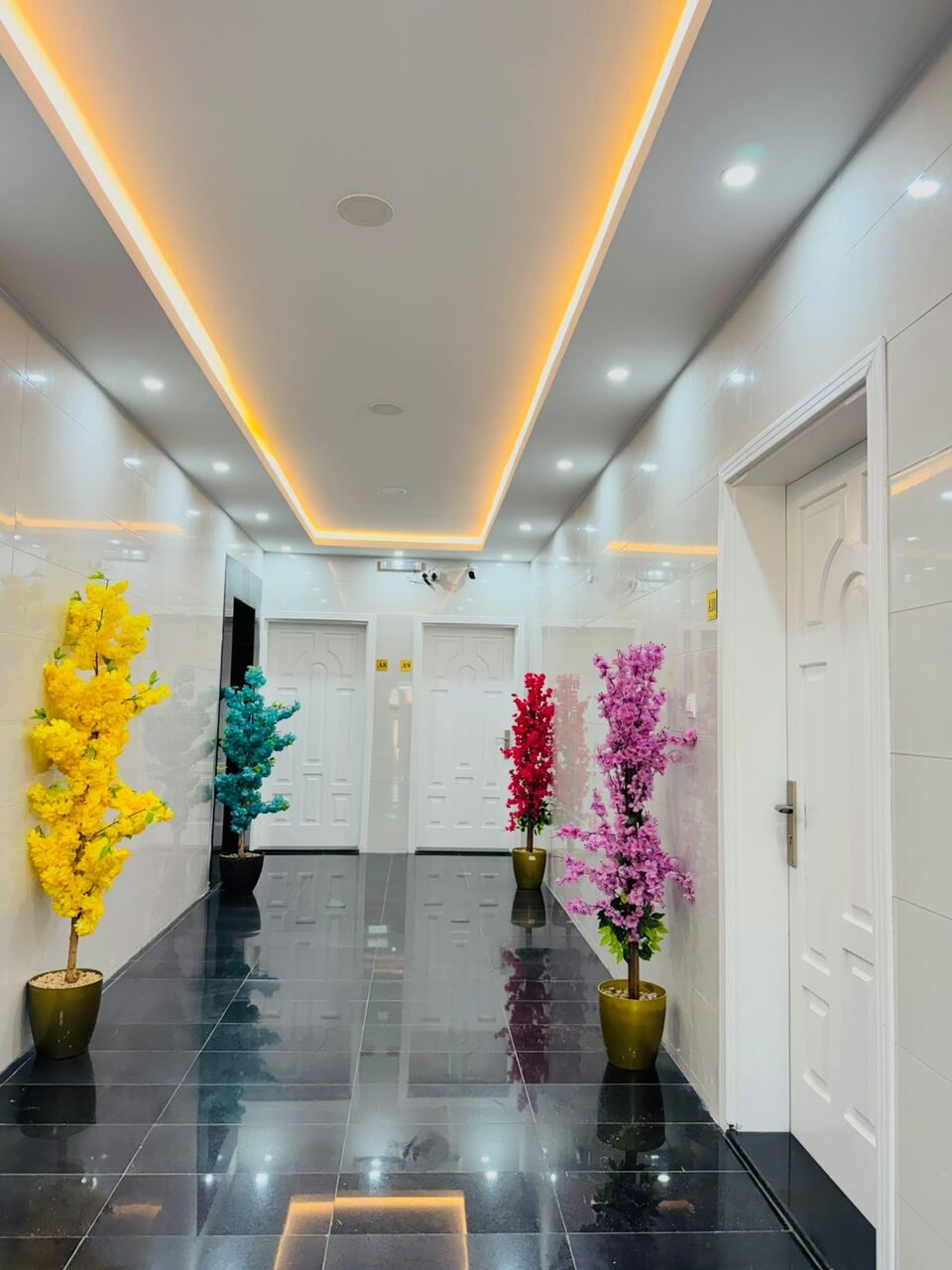 2 BR, Brand New 2 Bhk Fully Furnished
