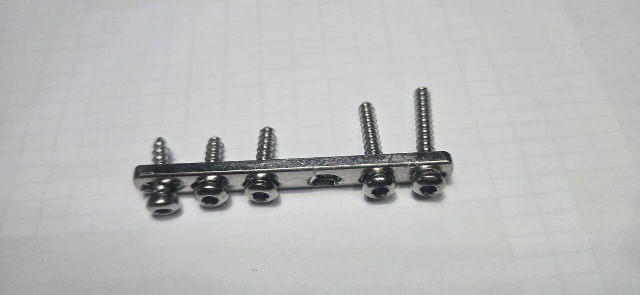 SAR 1000, Medical Titanium Plate With 5 Screws