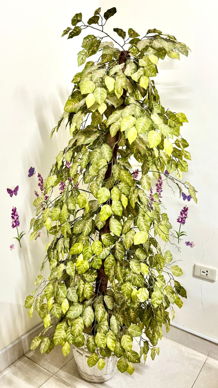 SAR 150, Beautiful 5.5 Feet Artificial in Jubail