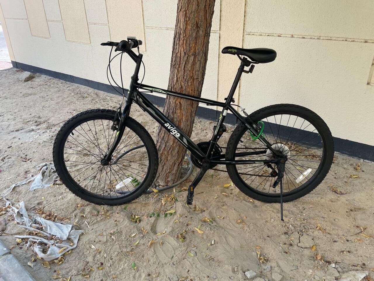 SAR 300, BICYCLE