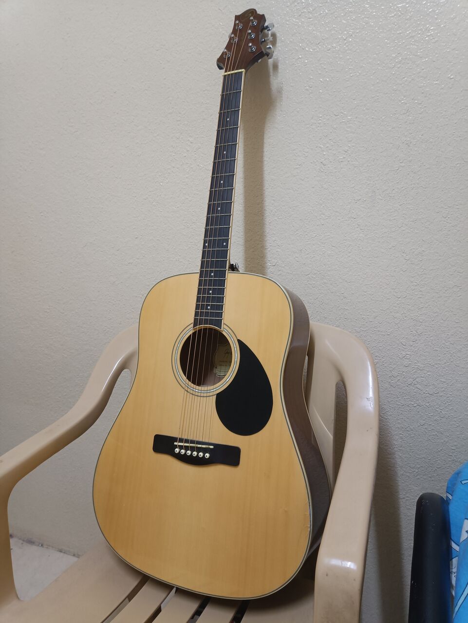 SAR 350, Greg Bennett GD-60N Acoustic Guitar