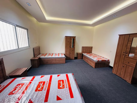 Spacious Bedspace and Furnished Bachelor Rooms for Rent in Central Riyadh