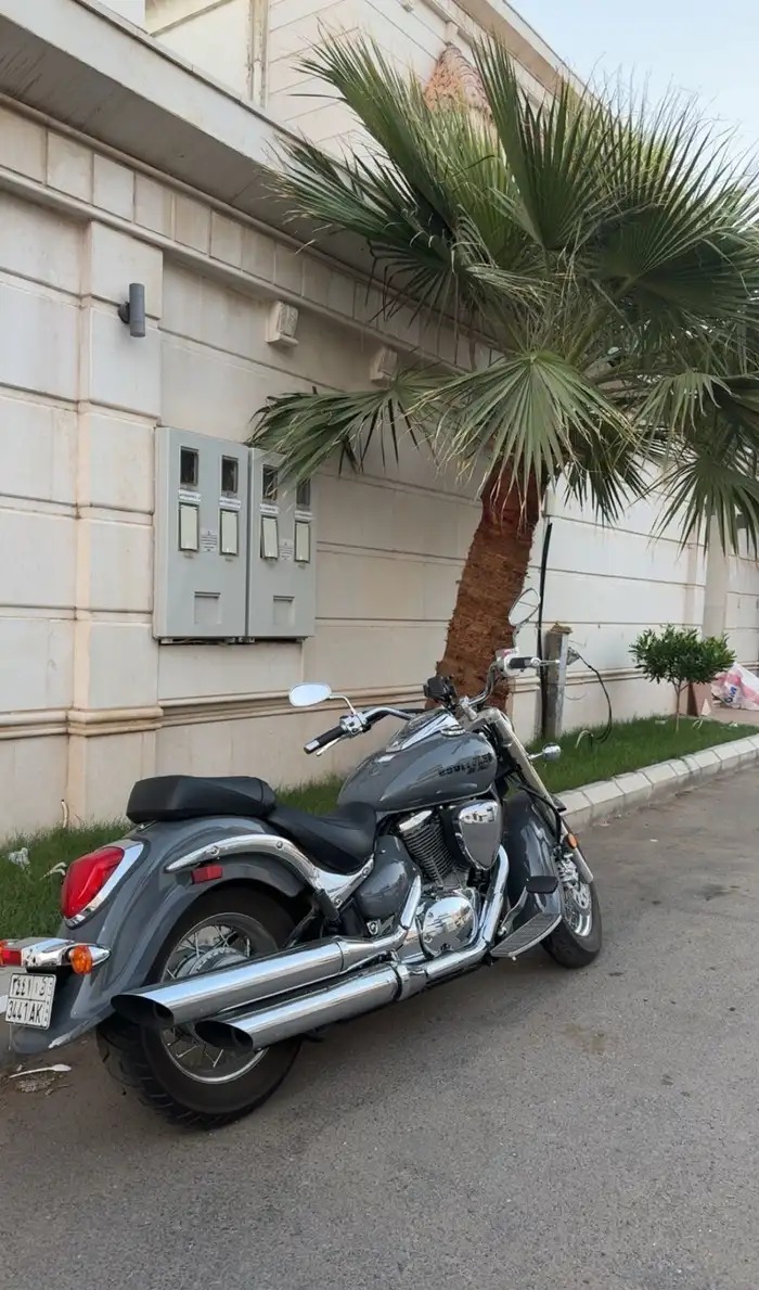 Suzuki Boulevard C50 2025 بوليفارد