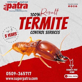 Termites = القضاء على النمل الأبيض? دیمک in Taif