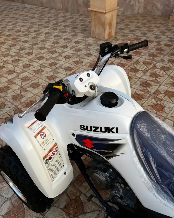 z250 في الدلم