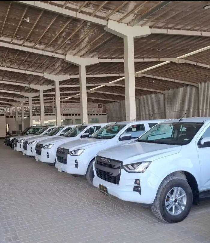 ايسوزو ديماكس غمارتين 2023 LS