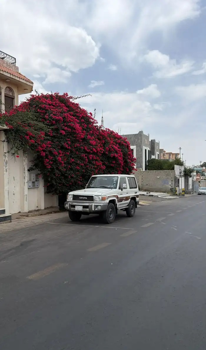 جيب ربع في جده