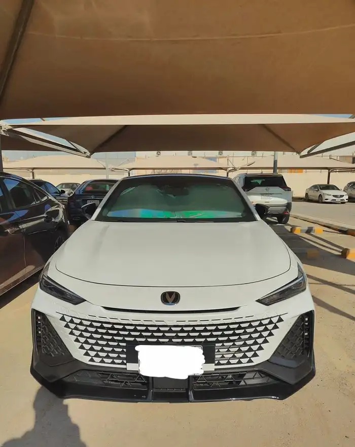 شانجان يوني في في الرياض