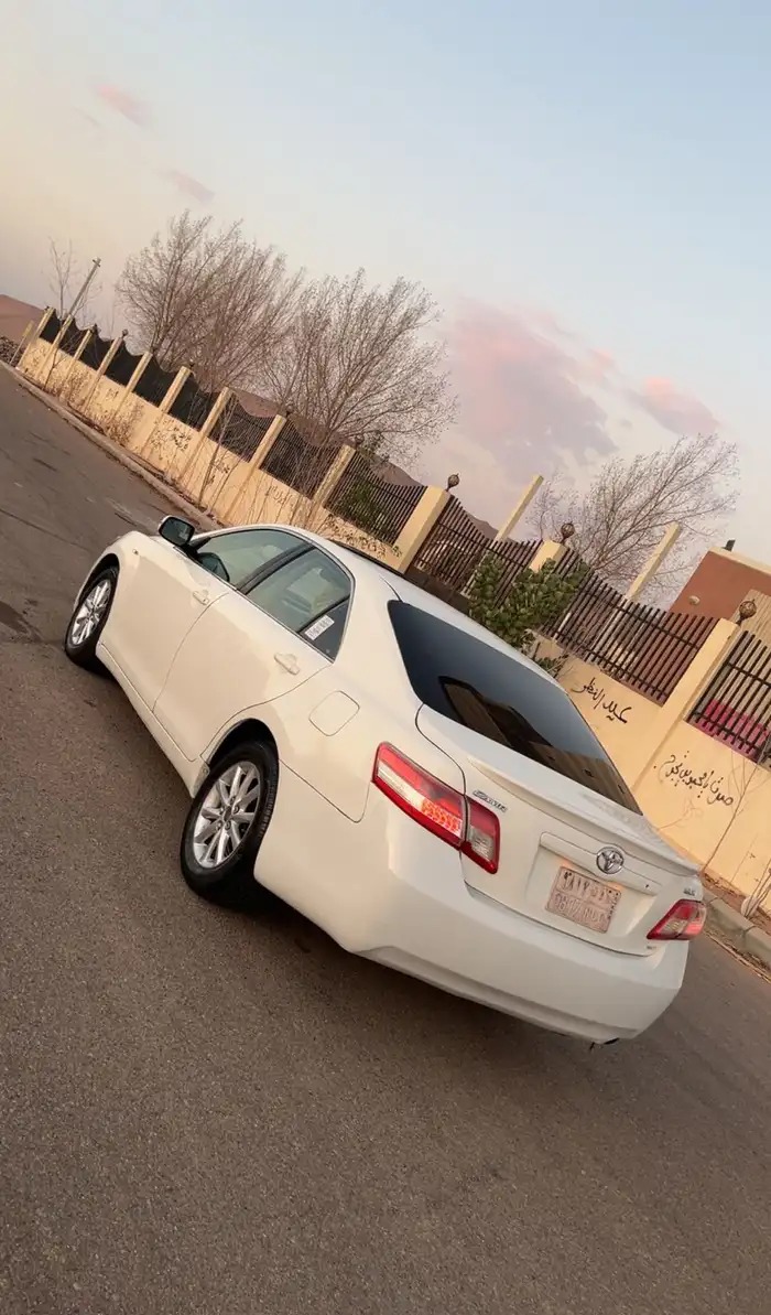 كامري في حقل
