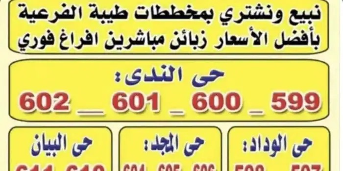 لل قطعه أرض طيبه الفرعيه حي البيان 610 في الرياض