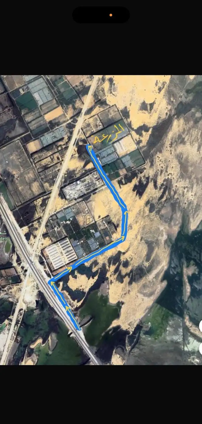 مزرعة طريق ابو حدرية